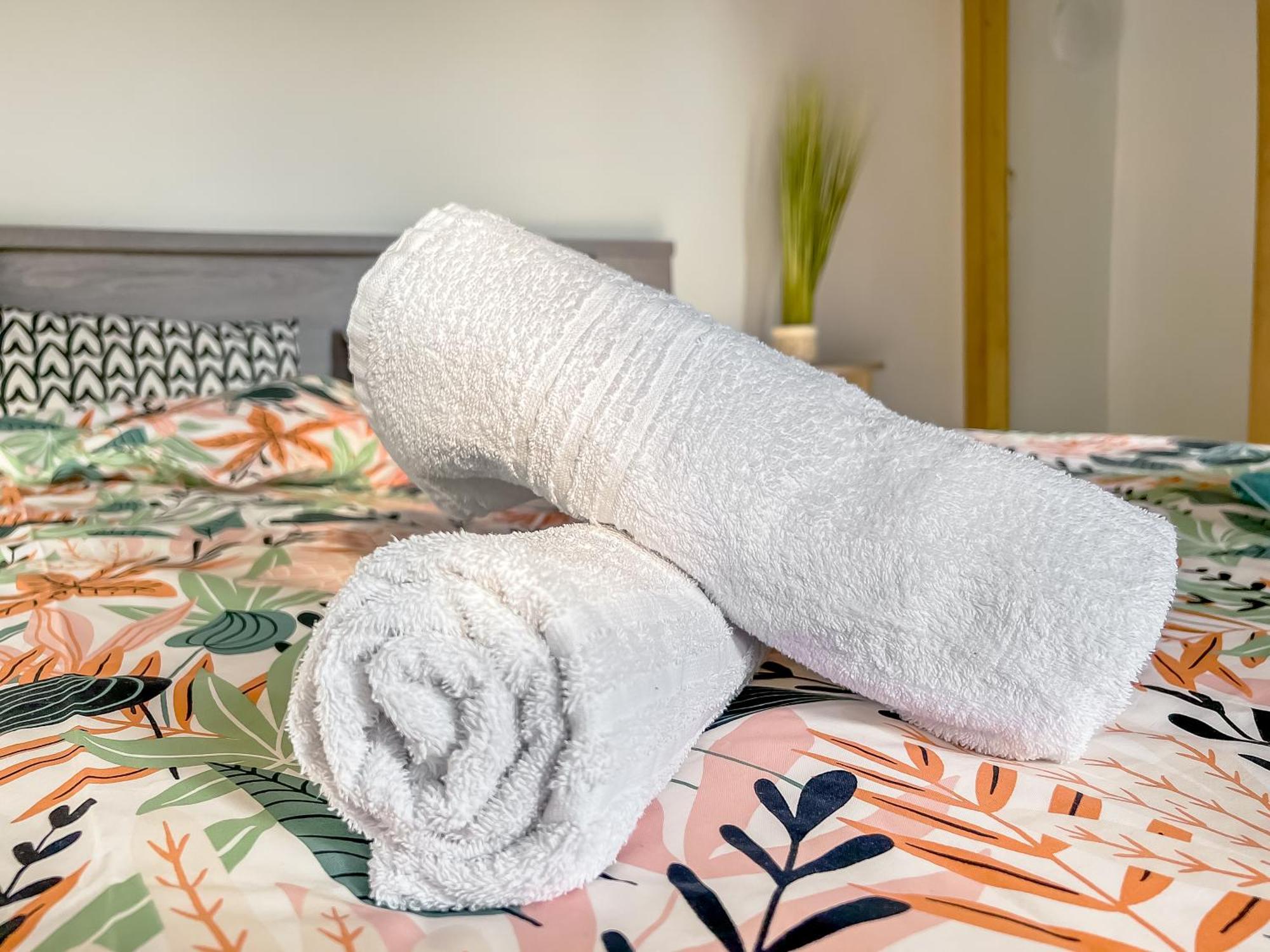 Apartament L'Eden Carolo - Netflix, Wi-Fi, 10Min Aeroport, Parking Gratuit Dampremy Zewnętrze zdjęcie